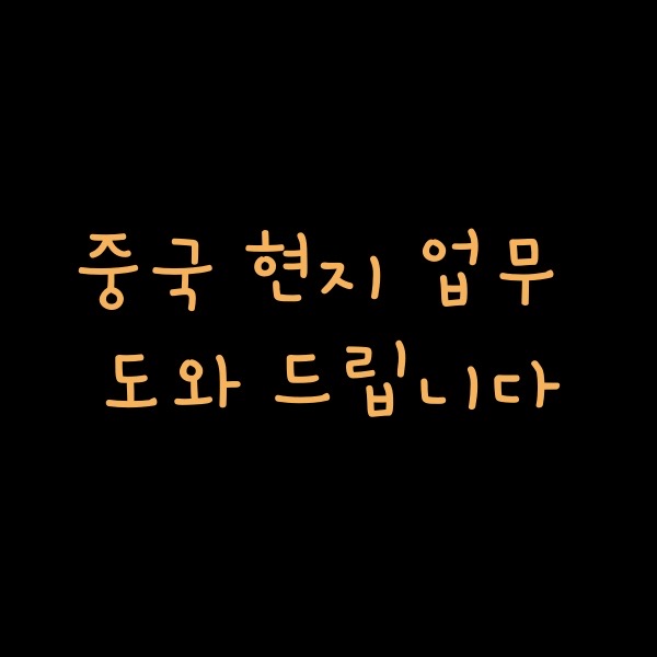 중국 현지 업무 대행