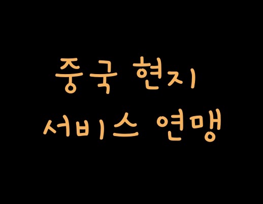 중국 현지 통역 추천